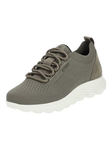 Geox Sneaker in Sage