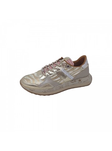 Cetti Sneaker  in Beige