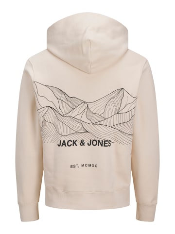 Jack & Jones Kapuzenpullover in Whitecap Gray