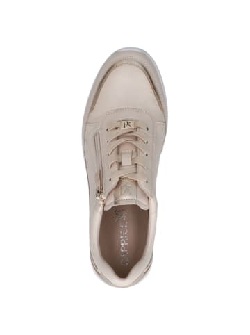Caprice Sneaker in CREAM/GOLD