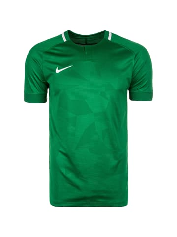 Nike Performance Fußballtrikot Challenge II in grün / weiß