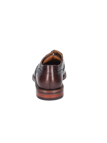 DIGEL Schnürschuhe Elegant in braun