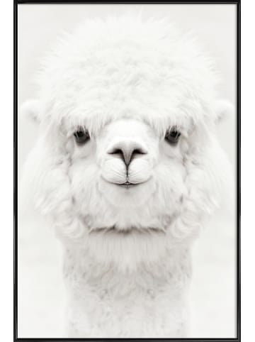 Juniqe Poster in Kunststoffrahmen "Smiling Alpaca" in Weiß