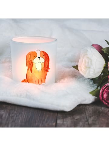 Mr. & Mrs. Panda Teelicht Hund Cavalier King Charles Spaniel ohn... in Transparent