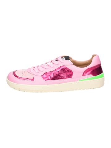 Acebos Schnürschuh in rosa
