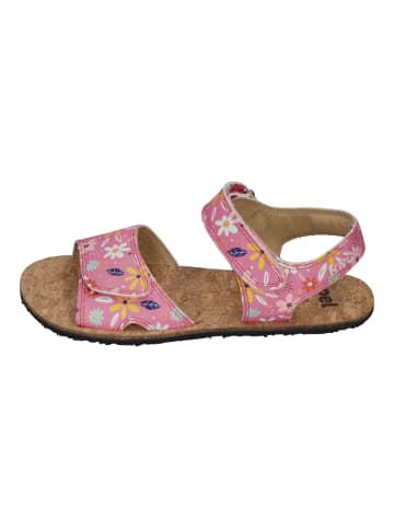 KOEL Sandalen ASHLEY  in rosa