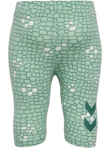 Hummel Hummel Leggings Hmlzanzi Mädchen in SILT GREEN