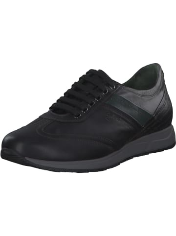 Galizio Torresi Sportliche Halbschuhe in NERO-SMOKE