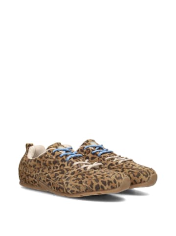 POELMAN Poelman JENN Damen Sneaker