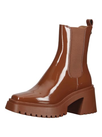 Steve Madden Stiefelette in Cognac