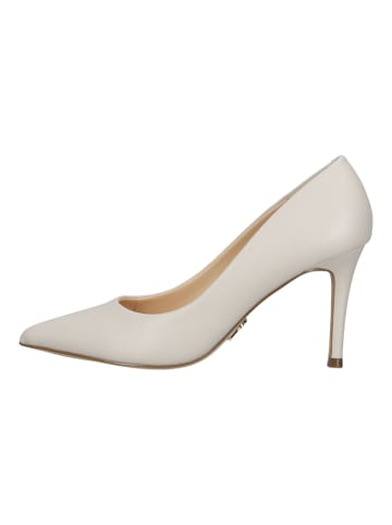 Steve Madden Pumps in Beige