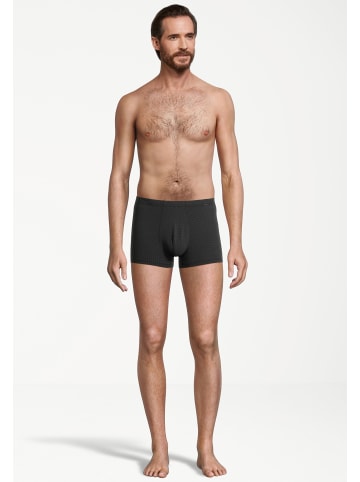Ammann Retro Short / Pant New Modern in Schwarz