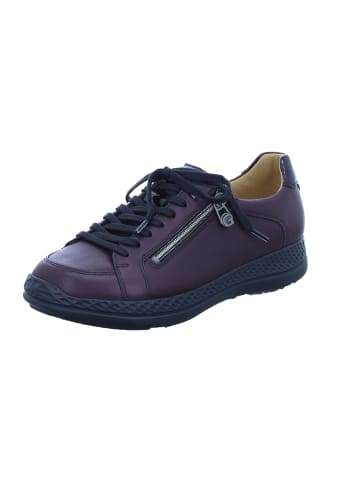 Ganter Sneaker in vino