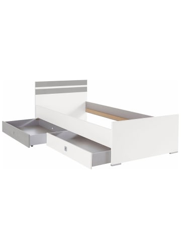 Wimex Jugendzimmer Set 4-teilig Joker weiß / beton lichtgrau 252 / 205 / 198cm