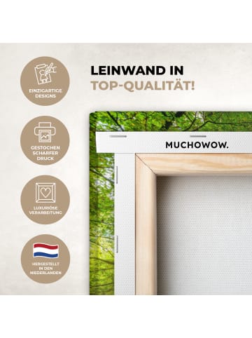 MuchoWow Leinwand bilder Waldlicht (BxH)