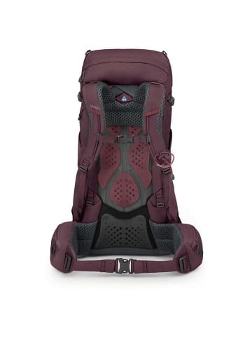 Osprey Kyte 38 WXS/S - Trekkingrucksack 66 cm (black) in elderberry purple