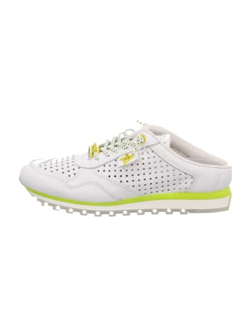 Cetti Sneaker Low in Weiß