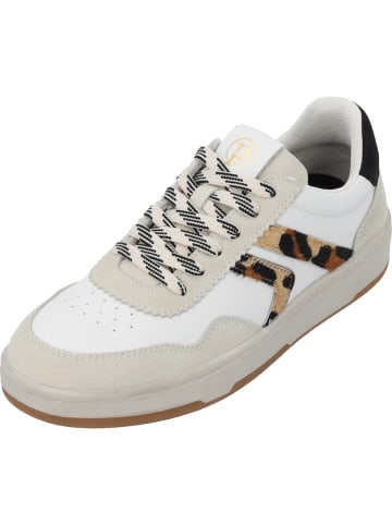palado Sneakers Low in offwhite/white/camel/black