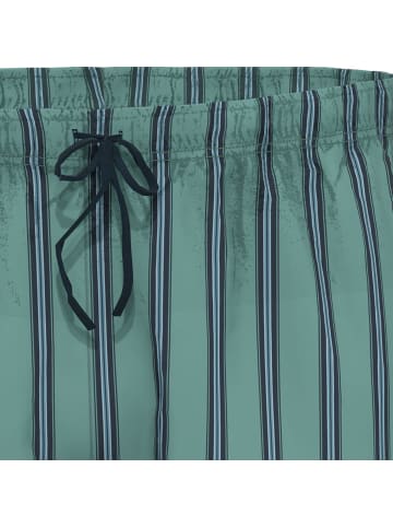 Ammann Single-Jersey Bio Hose Streifen, kurz in jade