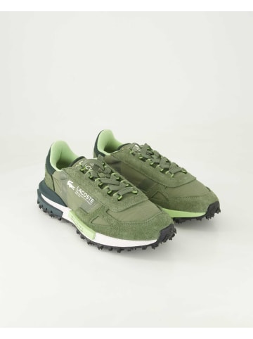Lacoste Sneaker low in Grün