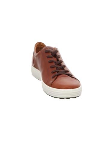 Ecco Lowtop-Sneaker SOFT 7 M in cognac