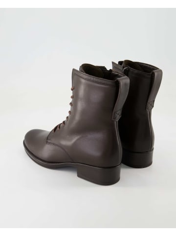 Gabor Schnürstiefeletten in Braun