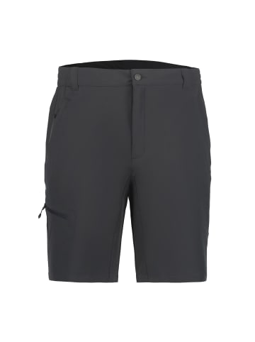 Icepeak Berwyn Outdoorhose kurz in grau