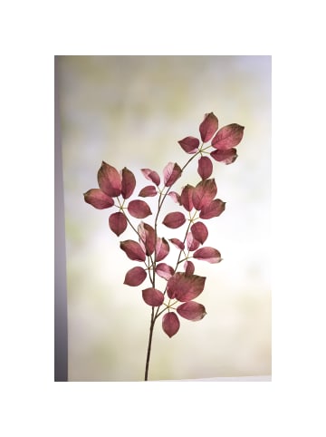 Fink Kunstblume Blätterzweig dunkel pink, grün - (H) 91 cm