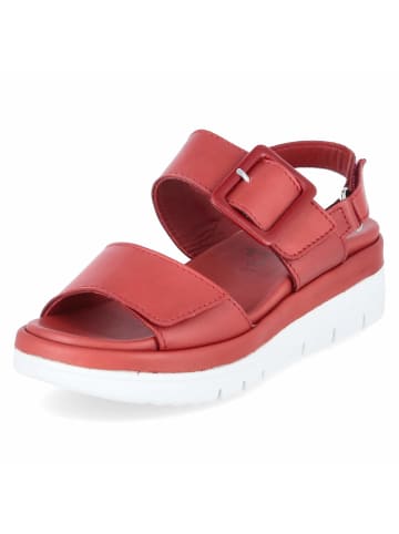 Beliana Sandalen SAMI21 in rot