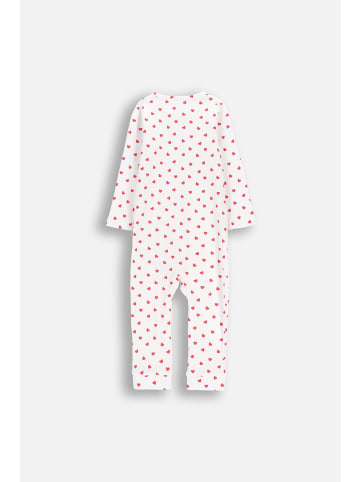 Coccodrillo Baumwollstrampler mit langen Ärmeln in bunt