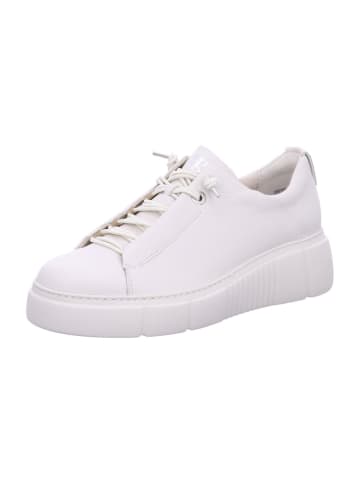 Paul Green Schnürschuh in Offwhite