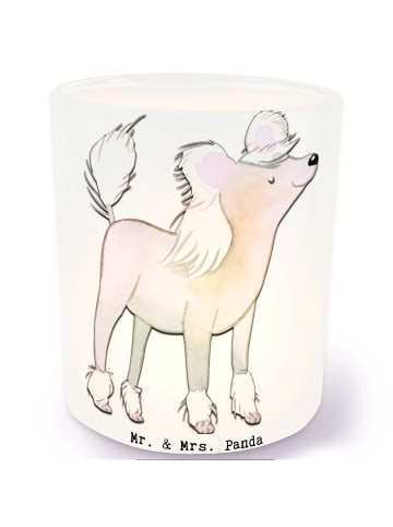 Mr. & Mrs. Panda Glas Teelicht Chinesischer Schopfhund Moment oh... in Transparent
