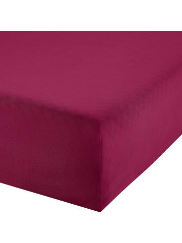 REDBEST Single-Jersey Boxspring-Spannbettlaken Denver in weinrot