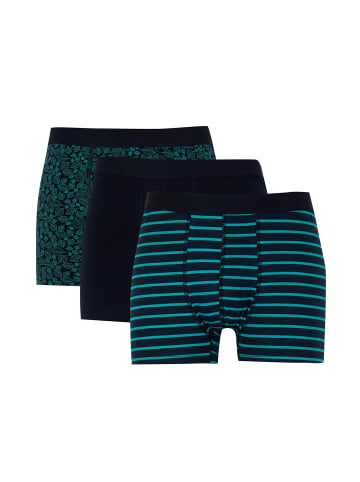 DeFacto Boxershorts REGULAR FIT in Marineblau