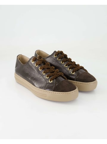 Paul Green Sneaker low in Braun
