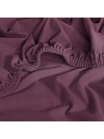 Erwin Müller Single-Jersey Spannbettlaken Murnau in aubergine