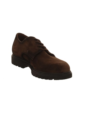 LLOYD Schnürschuhe in braun
