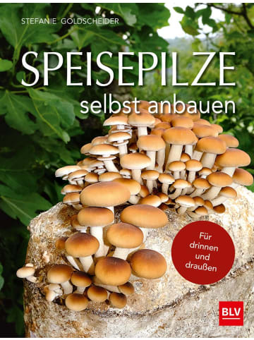 BLV Speisepilze selbst anbauen | Für drinnen und draußen