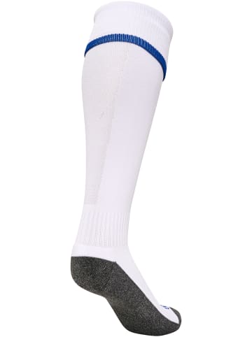 Hummel Fußball Socken Hmlcore Erwachsene in WHITE/TRUE BLUE