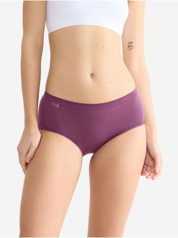 Sloggi Maxislip Originals Basic in MULTIPLE COLOURS 13