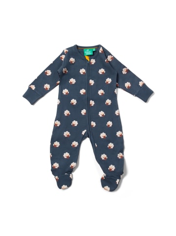 Little Green Radicals Bio-Baumwolle Zip Babygrow in Blau