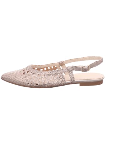 Gabor Slingpump in bunt