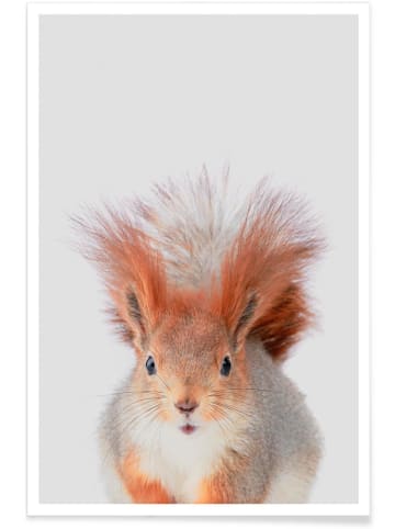 Juniqe Poster "Red Squirrel" in Grau & Orange