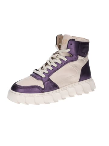 Apple of Eden Schnürschuh LOVE in PURPLE