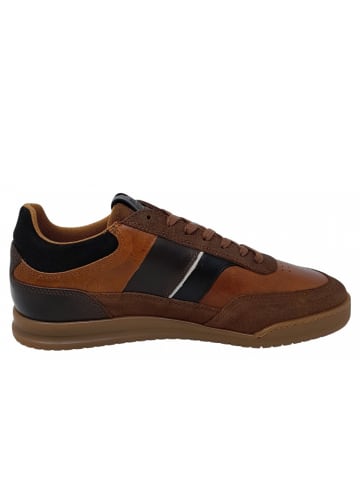 Bullboxer Sneaker  in Braun