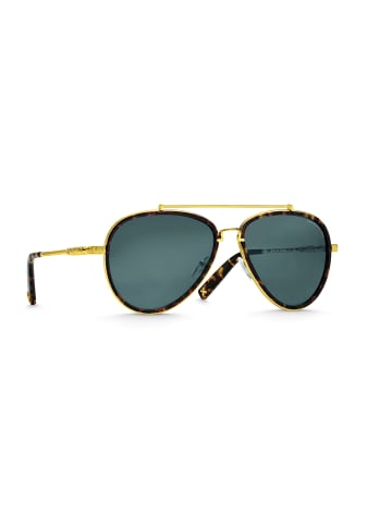 Thomas Sabo Sonnenbrille Harrison Pilot Ethno Havanna in gold