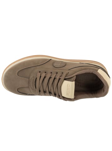 BIG STAR Big Star Shoes in Braun