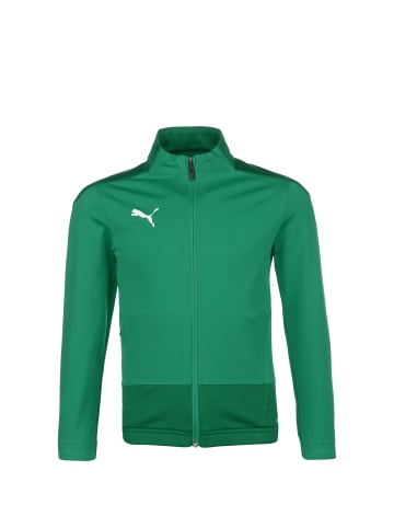 Puma Trainingsjacke TeamGOAL 23 in grün / dunkelgrün