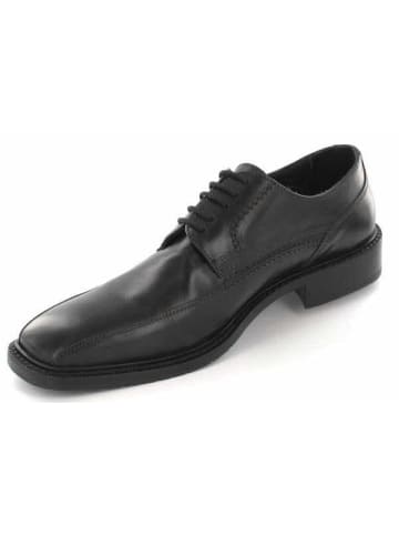 Galizio Torresi Schnürschuh in schwarz