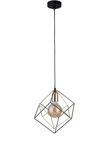 Licht-Erlebnisse Pendelleuchte (B)28 x (L)28 x (T)120 cm in Schwarz Gold